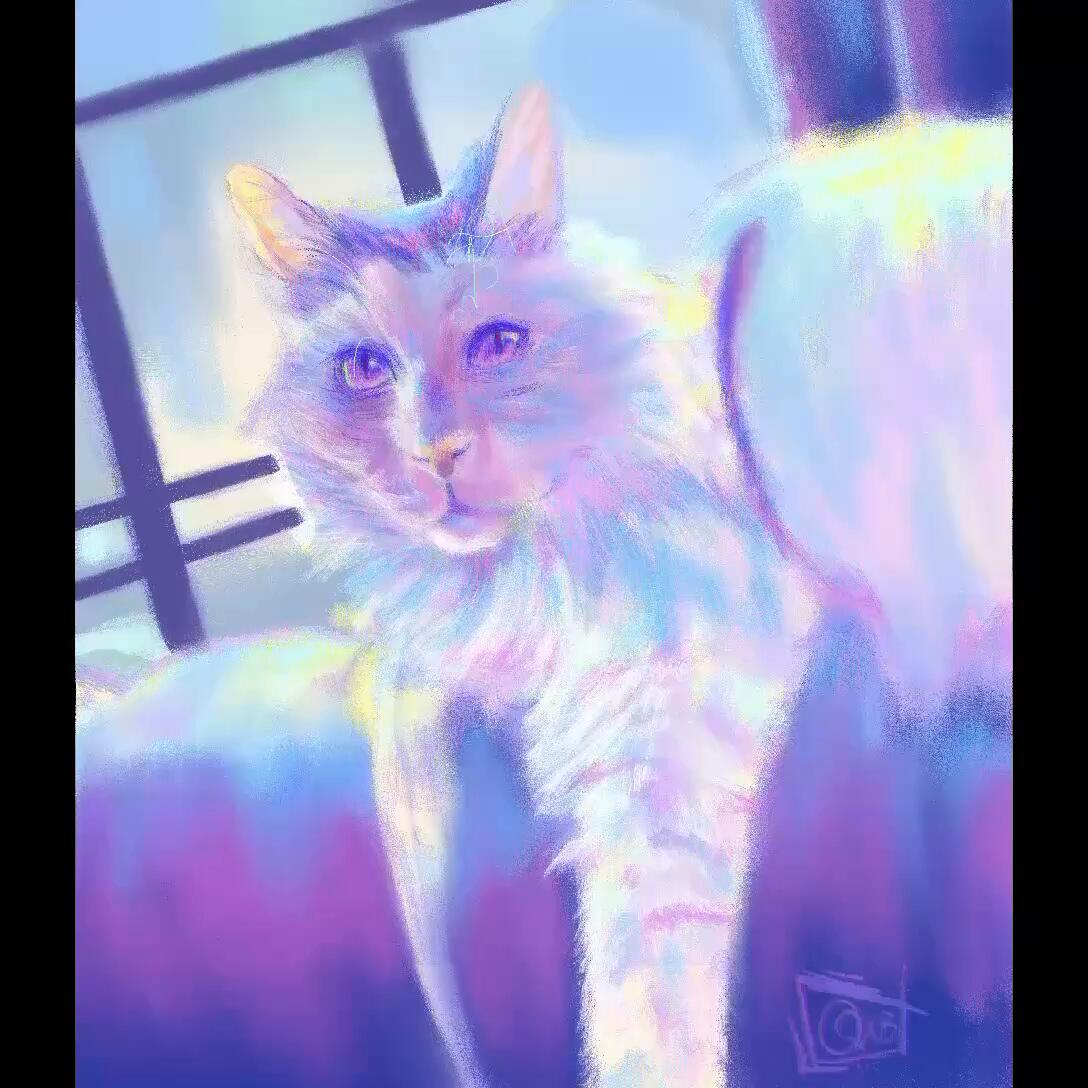 Cat Speedpaint